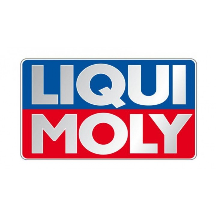 LIQUI MOLY PŁYN DO CZYSZCZENIA KOLEKTORÓW DOLOTOWYCH 300ML DIESEL / PRO LIN