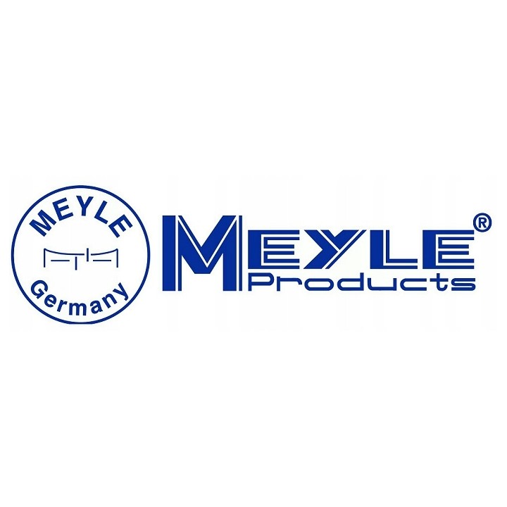 MEYLE ŚWIECE ŻAROWE BMW MERCEDES PEUGEOT RENAULT CITROEN