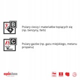 MOJE AUTO GAŚNICA PROSZKOWA OGNIOCHRON 1KG ISO9001