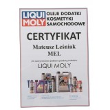 LIQUI MOLY PASTA DO UKŁ. HAMULCOWYCH 10G